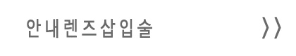 안내렌즈삽입술